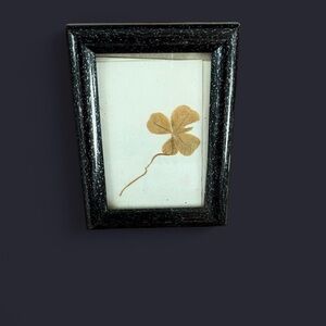 Elegant Black Frame with Pressed Clover Art